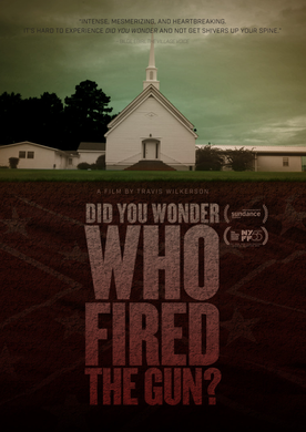 DID YOU WONDER WHO FIRED THE GUN? [DVD]