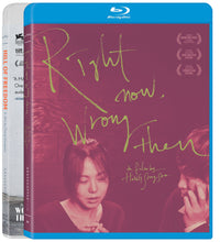 3 x Hong Sangsoo: HILL OF FREEDOM, WOMAN ON THE BEACH and RIGHT NOW, WRONG THEN